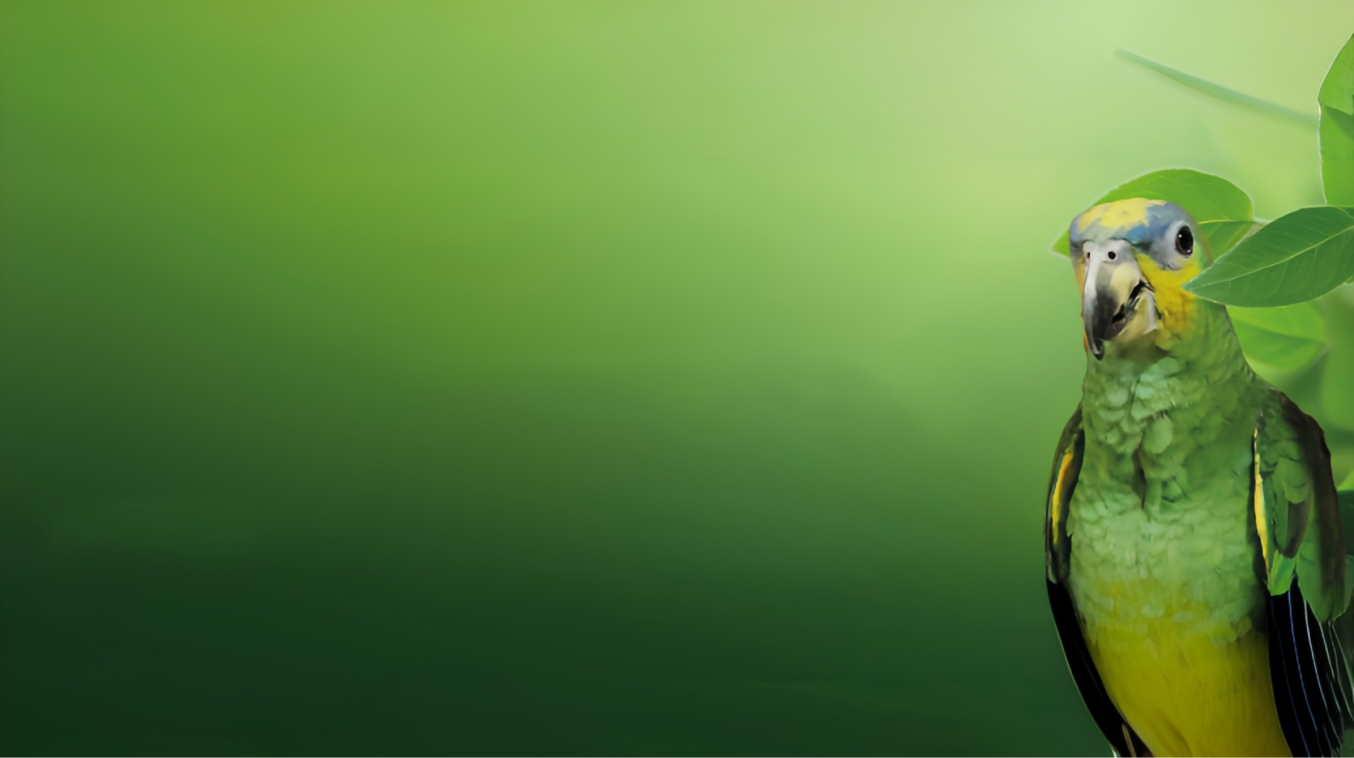 Un ambiente a otro nivel