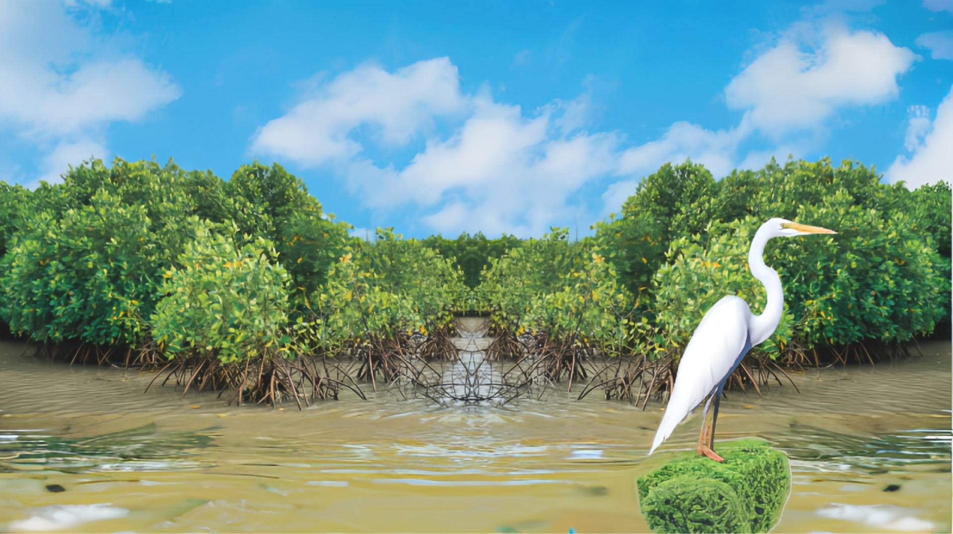 Un ambiente a otro nivel