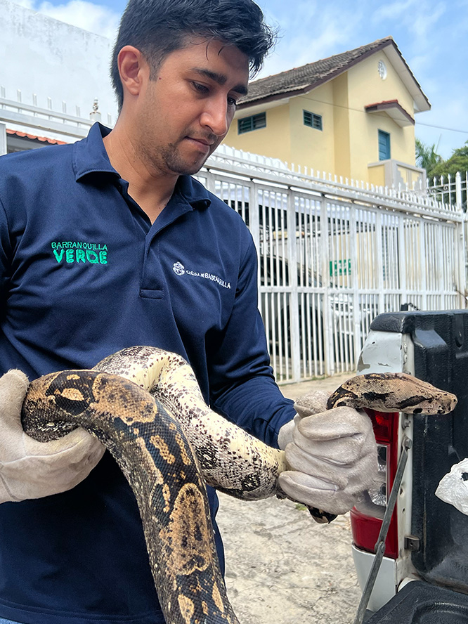 Proyectos de conservación ambiental en Barranquilla